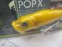 ﾒｶﾞﾊﾞｽ　POP-X　ｱﾙﾋﾞﾉﾗｲｷﾞｮ