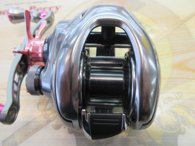 15ﾒﾀﾆｳﾑDC HG (LH) 後期ﾓﾃﾞﾙ