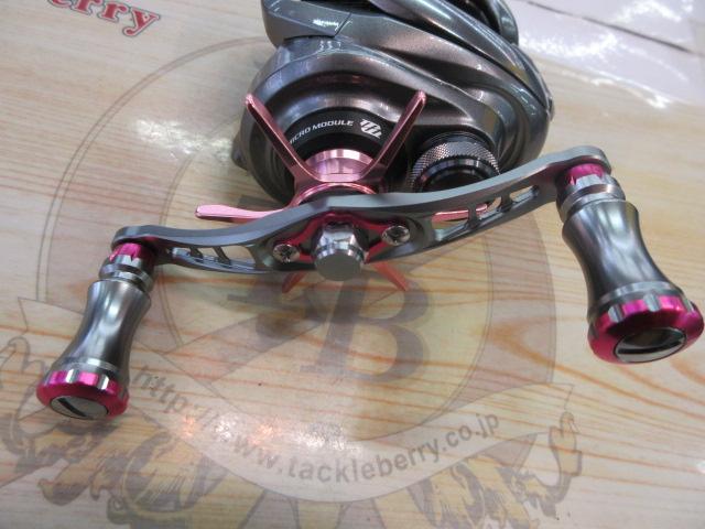 15ﾒﾀﾆｳﾑDC HG (LH) 後期ﾓﾃﾞﾙ