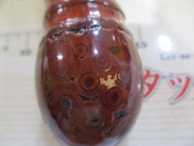 竿かづｶﾜﾊｷﾞ竿