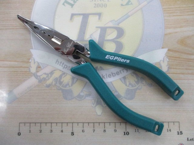 EGﾌﾟﾗｲﾔｰ