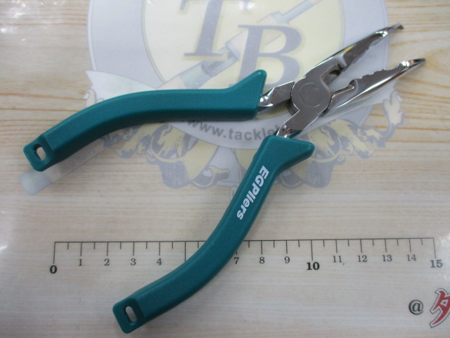 EGﾌﾟﾗｲﾔｰ