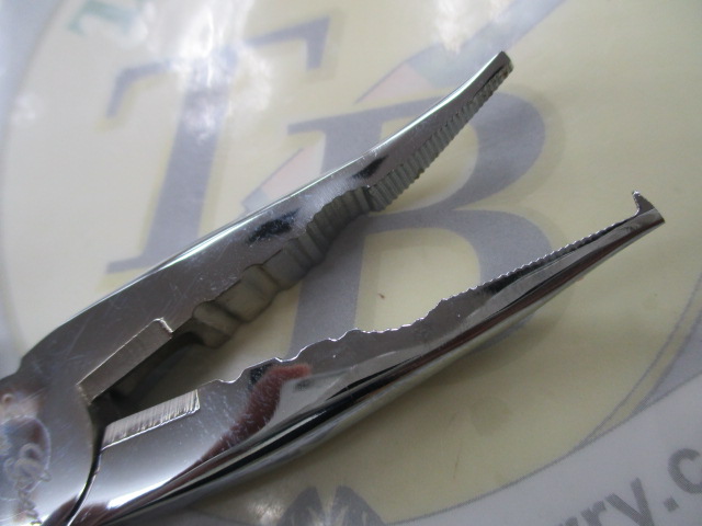 EGﾌﾟﾗｲﾔｰ