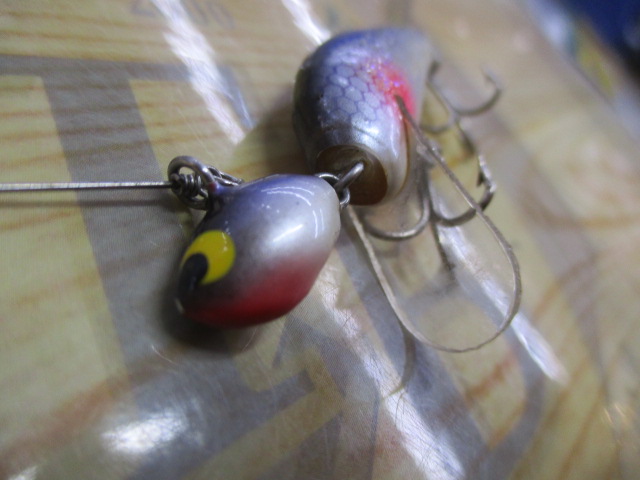 ｼﾞｸﾞﾐﾉﾄﾞﾝ