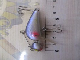 ｼﾞｸﾞﾐﾉﾄﾞﾝ