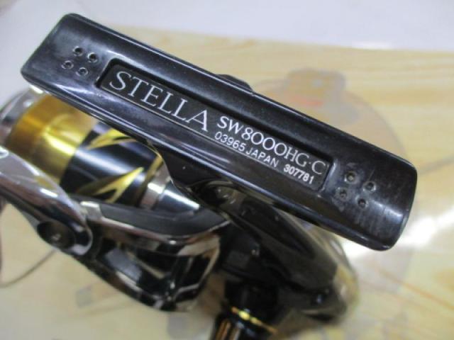 19ｽﾃﾗSW 8000HG