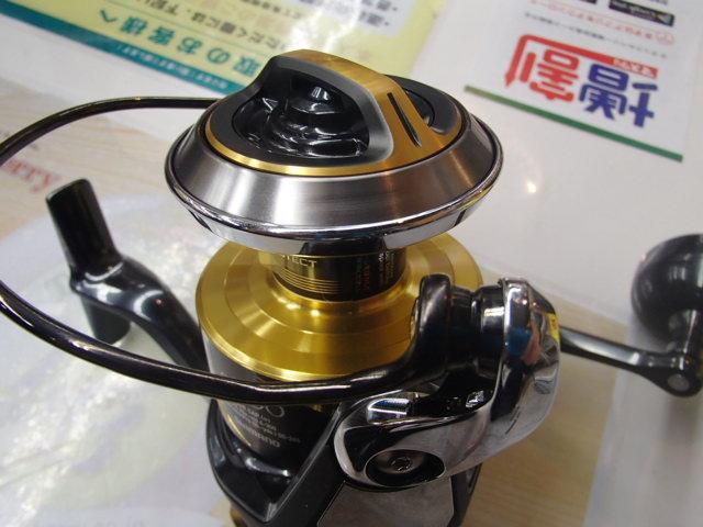 25ｽﾃﾗSW 8000XG