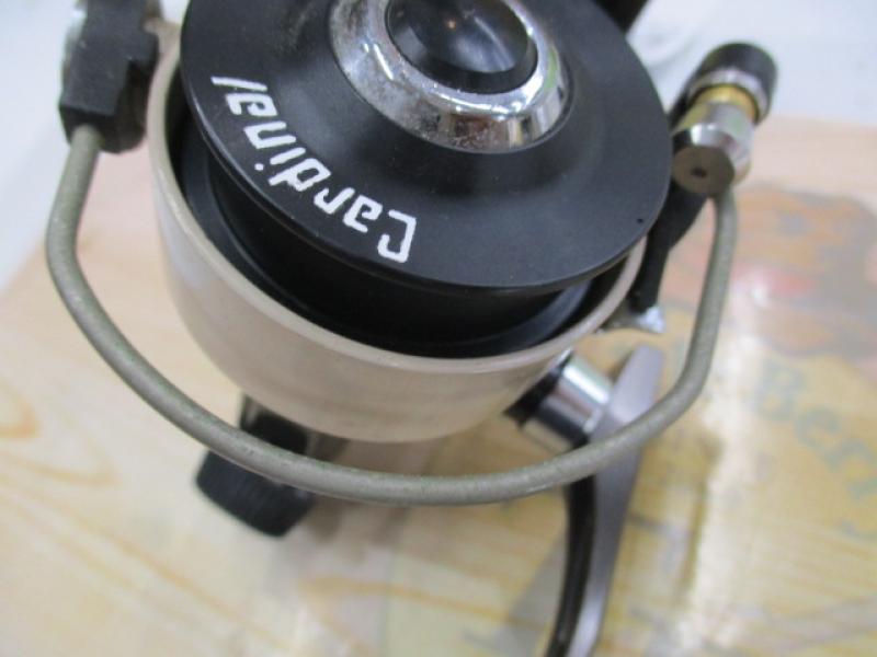 ｶｰﾃﾞｨﾅﾙ 33X ﾀﾝ/ﾌﾞﾗｳﾝ DAYSPROUT別注