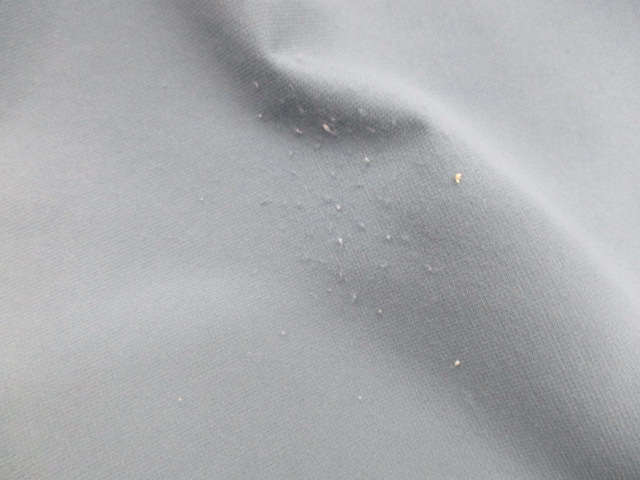 ｱｸｵﾘｱｳｪｰﾃﾞｨﾝｸﾞﾚｲﾝｼﾞｬｹｯﾄ