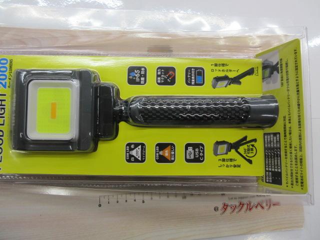 ﾌﾗｯﾄﾞﾗｲﾄLEFL2000