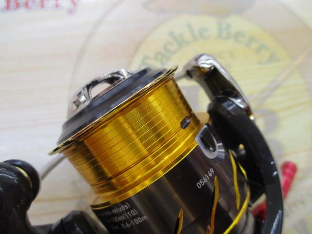 13セルテート 2004CH