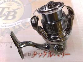 22ｽﾃﾗ C2500SXG