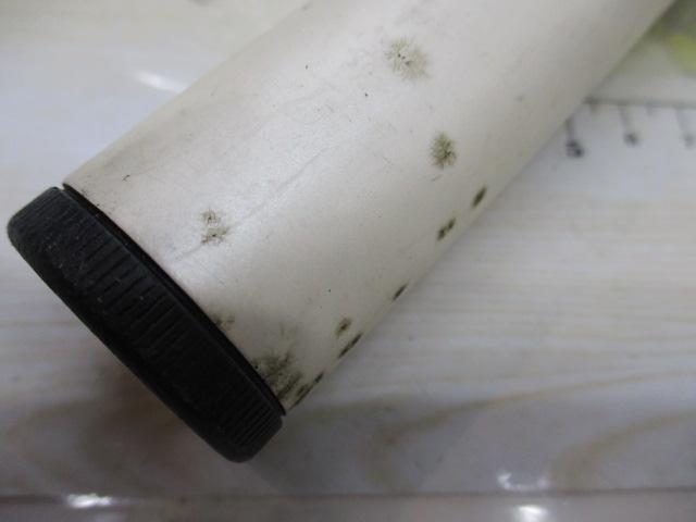 ｴｷﾞ王ﾗﾝﾃﾞｨﾝｸﾞｷﾞｬﾌ305