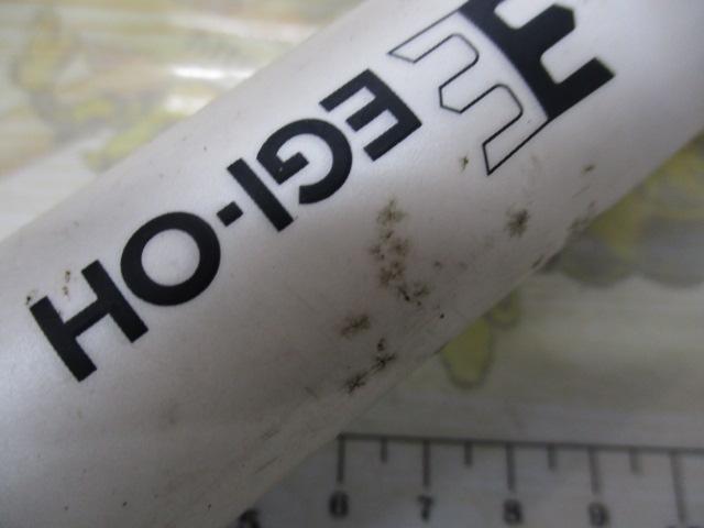 ｴｷﾞ王ﾗﾝﾃﾞｨﾝｸﾞｷﾞｬﾌ305