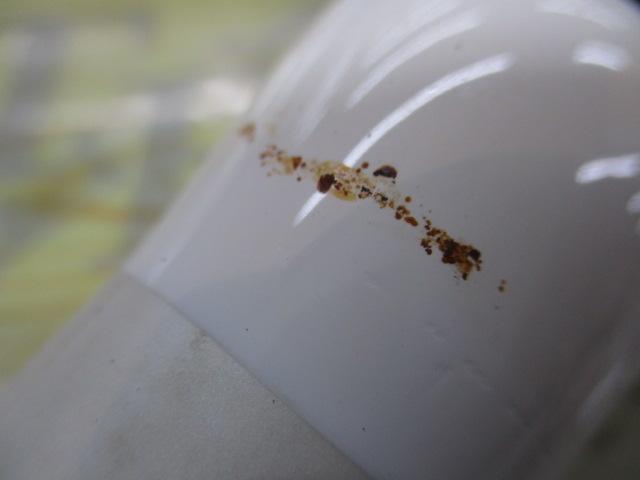 ｴｷﾞ王ﾗﾝﾃﾞｨﾝｸﾞｷﾞｬﾌ305