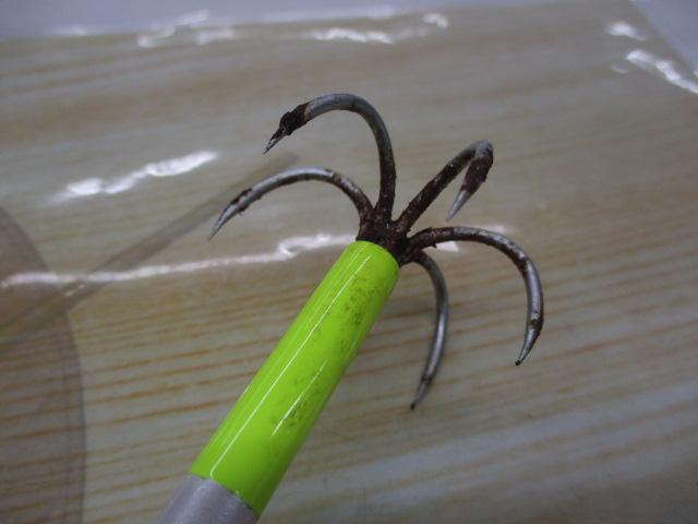 ｴｷﾞ王ﾗﾝﾃﾞｨﾝｸﾞｷﾞｬﾌ305