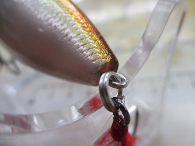 POPMAX(限定カラー)