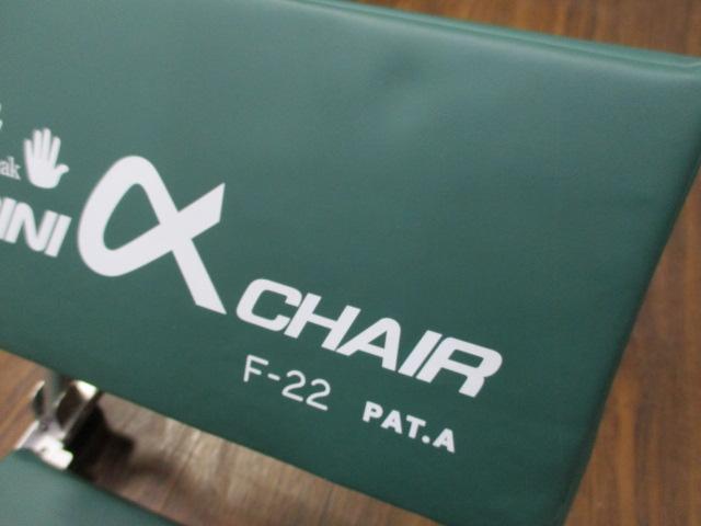 【ｽﾉｰﾋﾟｰｸ】ﾐﾆｱﾙﾌｧﾁｪｱF22