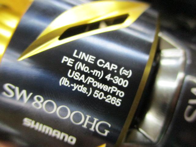 19ｽﾃﾗSW 8000HG