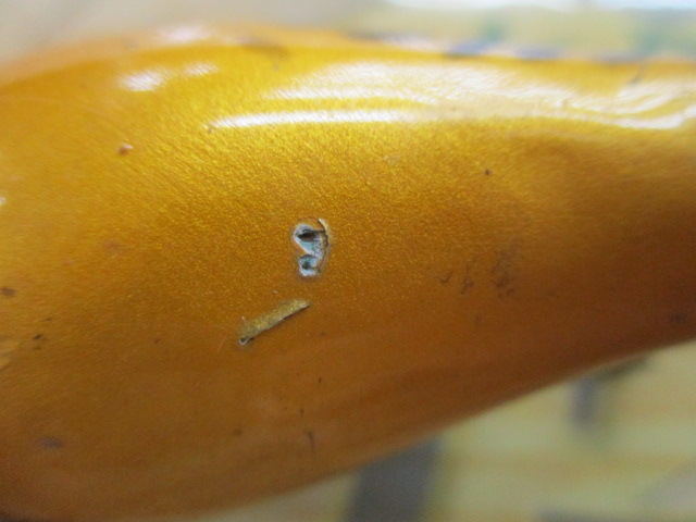 ﾀｶﾐﾔ　ﾊﾞｽｷﾝｸﾞ　ｵｰﾙﾄﾞﾙｱｰ