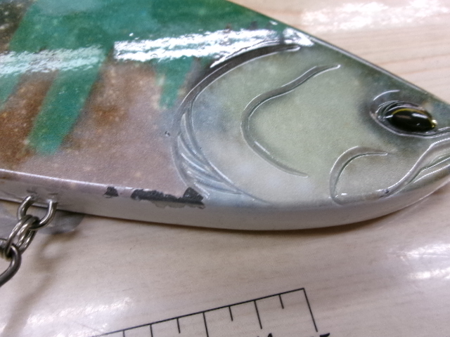 ﾜｲﾙﾄﾞﾋﾞｰﾄ