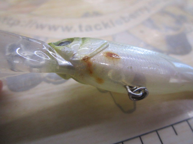 【ｾｯﾄ商品】ﾊﾞｽﾙｱｰ･ｼｬｯﾄﾞｾｯﾄ