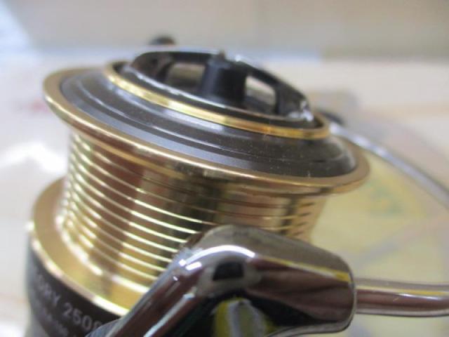 17ｾｵﾘｰ 2508PE