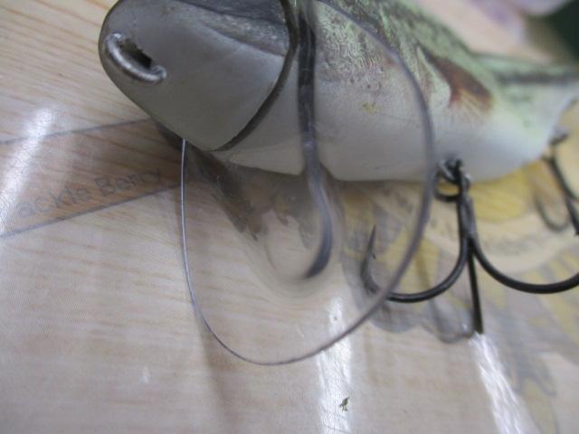 ﾀｲﾆｰｸﾗｯｼｭ