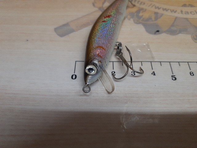 ｻﾞｳﾙｽﾐﾉｰ