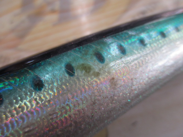 BC-γ LB、BC-γ45-160