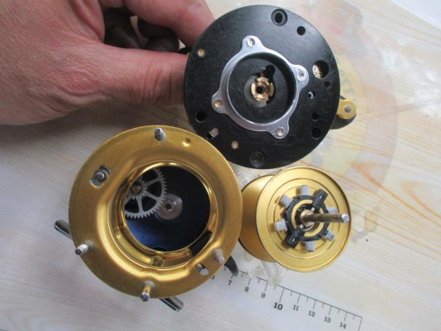 5601C4 ﾌﾞﾙｰ/ｺﾞｰﾙﾄﾞ