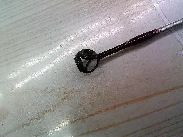 ﾀﾞｲﾔﾌﾗｯｼｭﾎﾞﾛﾝ石鯛 525