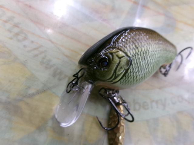 【セット商品】ニシネファットブル2個セット