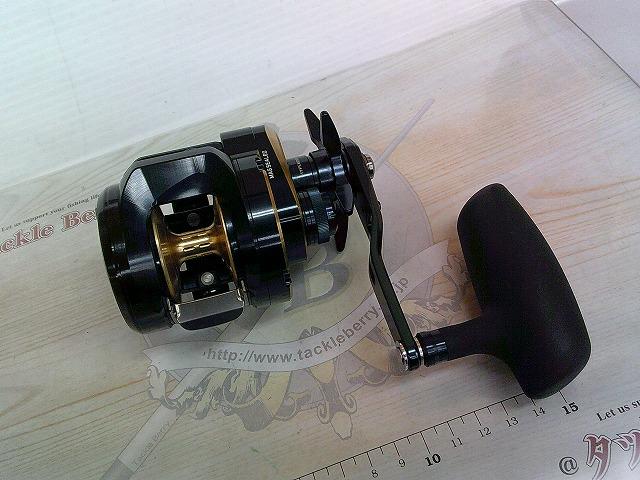 25ｿﾙﾃｨｶﾞ 300