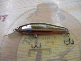 ｳｯﾄﾞﾘｰﾑ　ｱﾙﾎﾞﾙ70F　MD