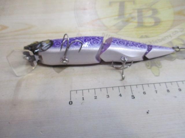 スイッチ(SP-C)唐獅子2023漆黒