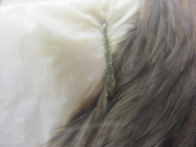 WHITING FARM シルバースパークル