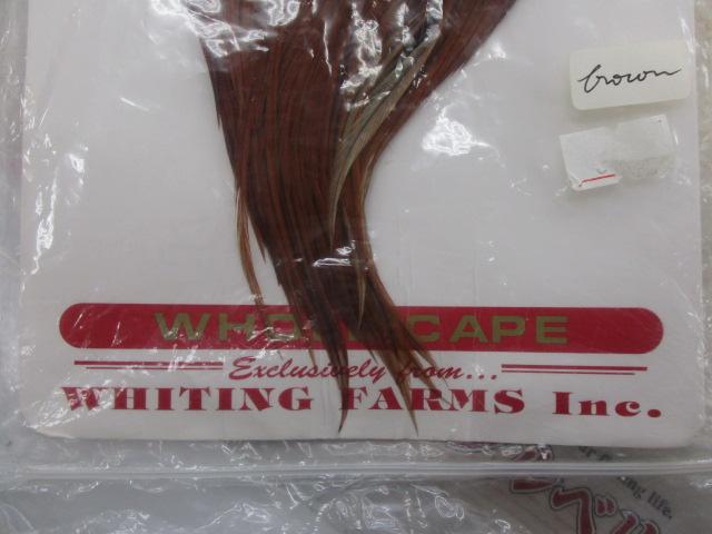 WHITING FARM ｹｰﾌﾟﾌﾞﾗｳﾝ