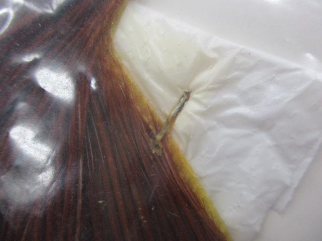 WHITING FARM ｹｰﾌﾟﾌﾞﾗｳﾝ