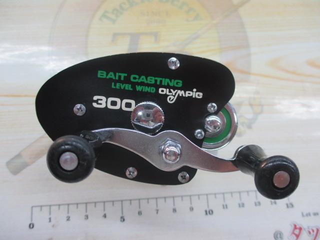 ﾍﾞｲﾄｷｬｽﾃｨﾝｸﾞﾚﾍﾞﾙﾜｲﾄﾞ300