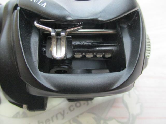 24ﾀﾄｩｰﾗ TW 100XH