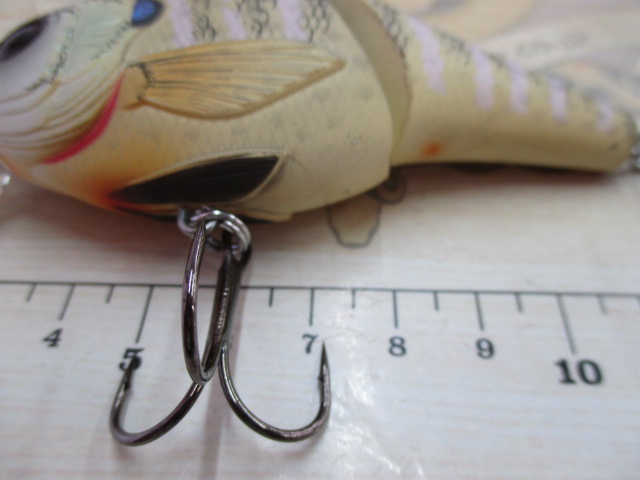 ﾗｲﾌﾞﾀｰｹﾞｯﾄ/ﾌﾞﾙｰｷﾞﾙｳｪｲｸ