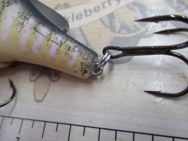 ﾗｲﾌﾞﾀｰｹﾞｯﾄ/ﾌﾞﾙｰｷﾞﾙｳｪｲｸ