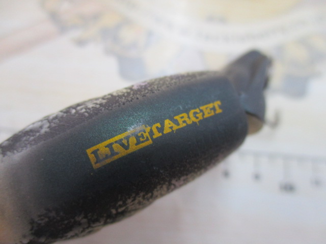 ﾗｲﾌﾞﾀｰｹﾞｯﾄ/ﾌﾞﾙｰｷﾞﾙｳｪｲｸ