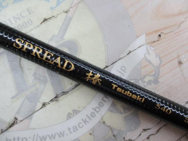 スプレッド椿 540