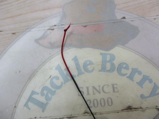 スプレッド椿 540