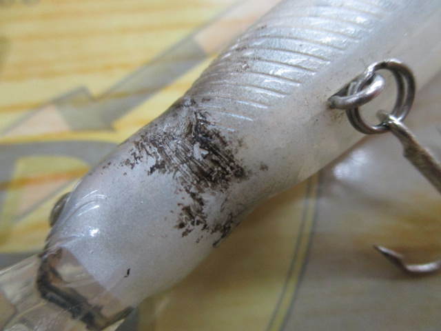 【ｾｯﾄ商品】ｴﾊﾞｰｸﾞﾘｰﾝ　ﾐﾉｰ系ﾌﾟﾗｸﾞ15点ｾｯﾄ!