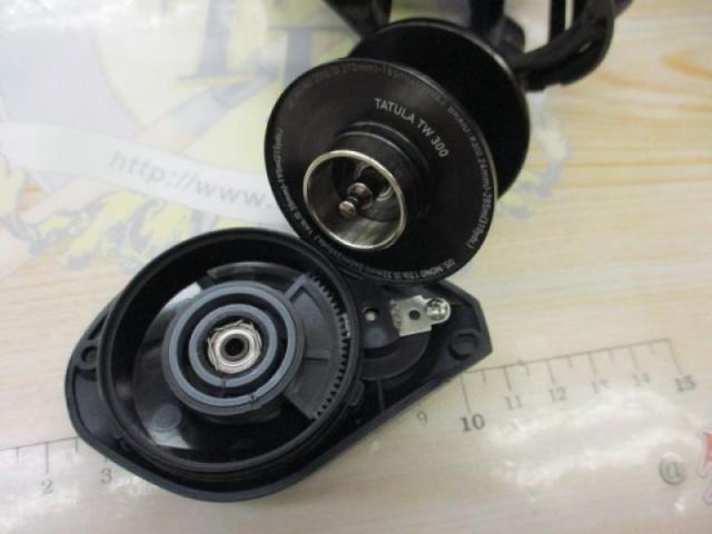 ﾀﾄｩｰﾗ TW 300