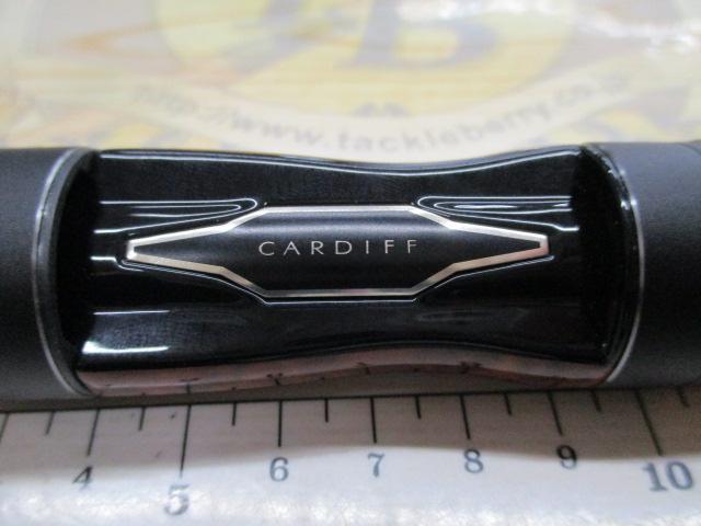 21ｶｰﾃﾞｨﾌNX S60UL