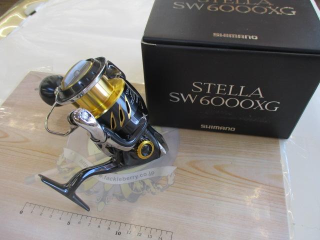 16ｽﾃﾗSW 6000XG